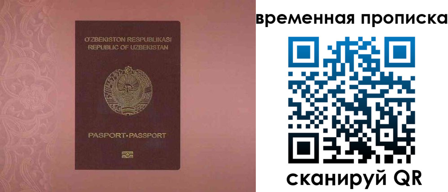 прописка от собственника в Курске